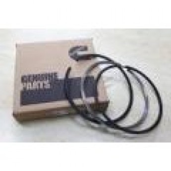 Поршневые кольца CUMMINS 6BT5.9 3802421 3624223